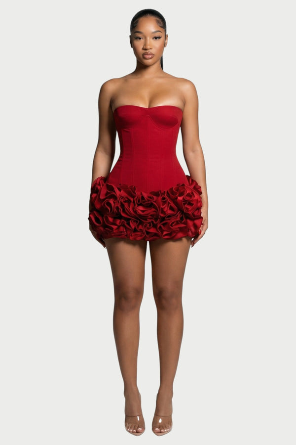 Rosalind Corset & Rose Mini Dress Set in Red – front