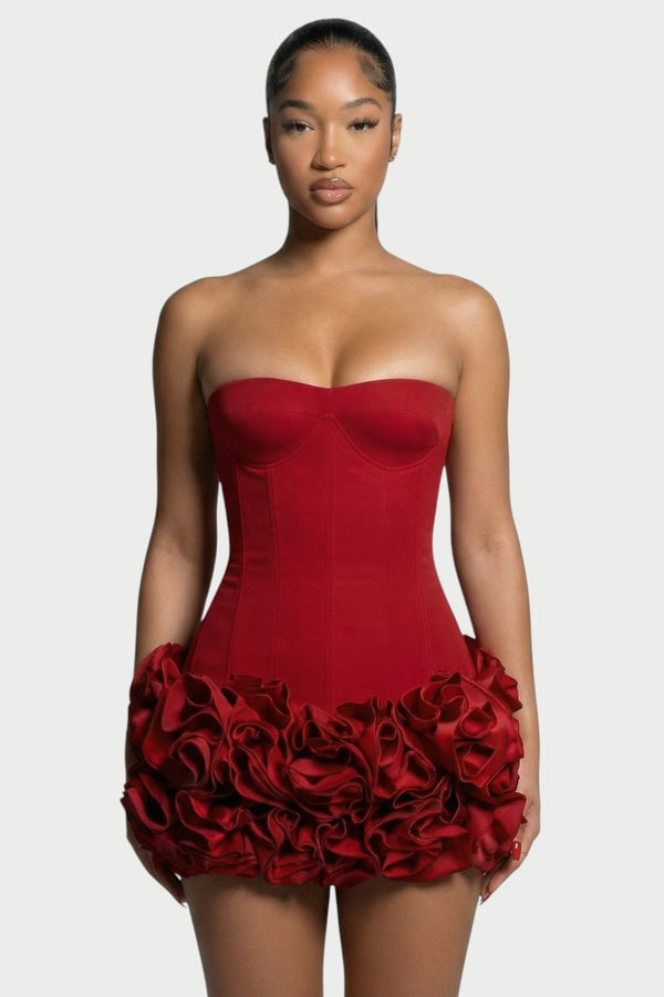Rosalind Corset & Rose Mini Dress Set in Red – front three-quarter