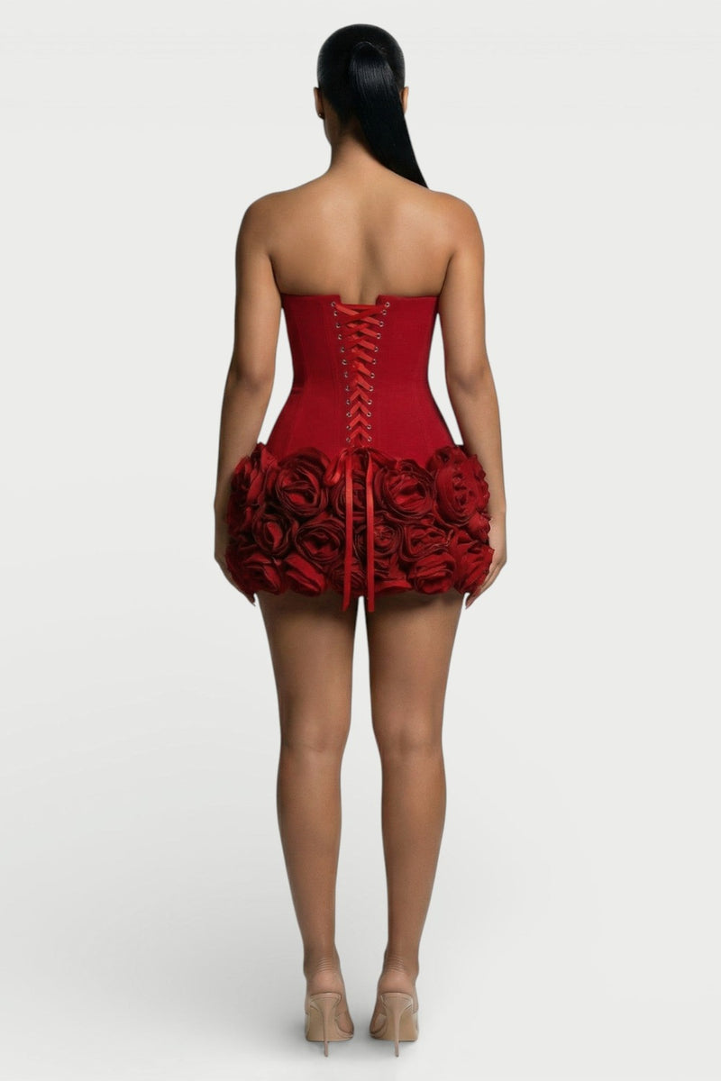 Rosalind Corset & Rose Mini Dress Set