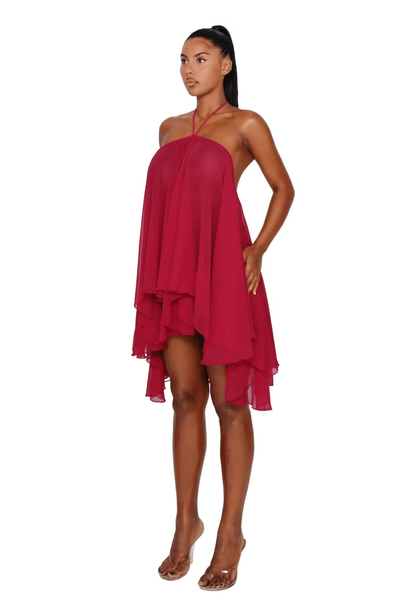 Solene Backless Mini Dress
